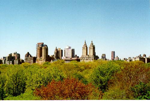From MOMA Roof Trees.jpg (38385 bytes)