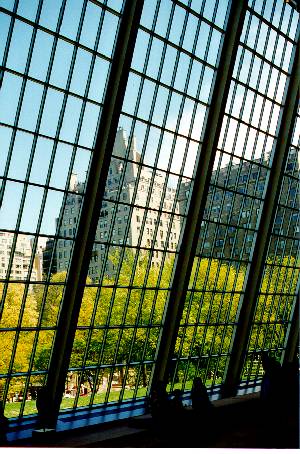 MOMA big window view.jpg (47942 bytes)